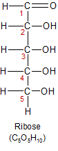 Carbon